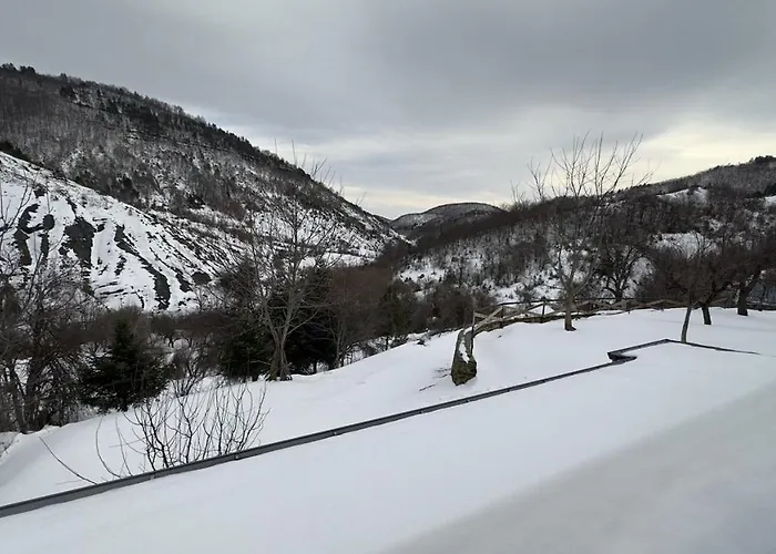 Gallery - & Landsted