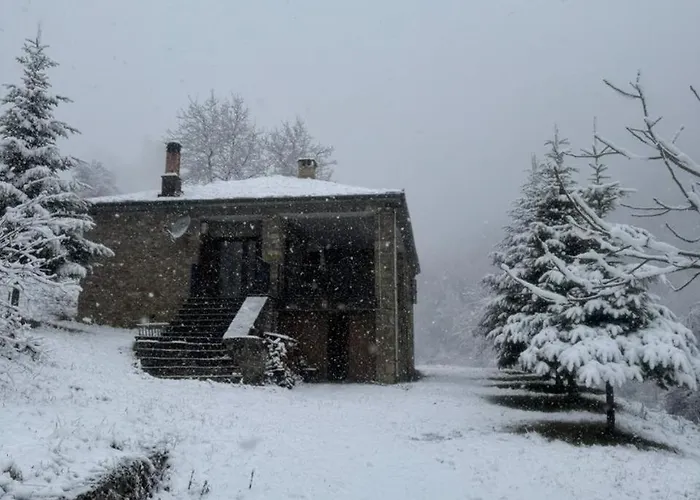 Gallery - & Dardhe (Korce)