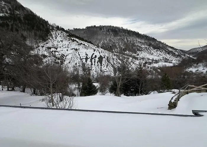 Gallery - & * Dardhe (Korce)